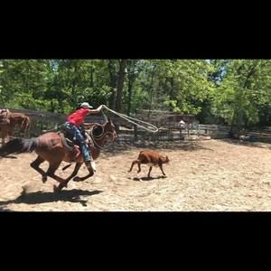 Meet your Posher, Cj